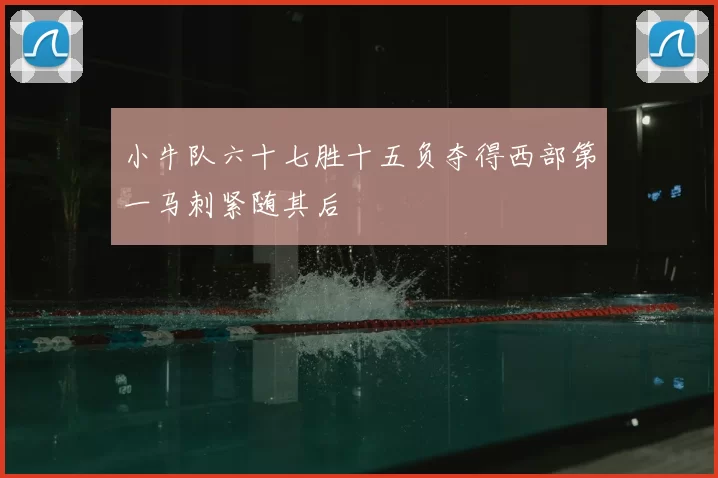 小牛队六十七胜十五负夺得西部第一马刺紧随其后