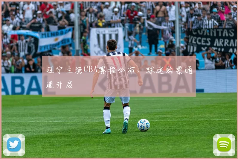 辽宁主场CBA赛程公布，球迷购票通道开启