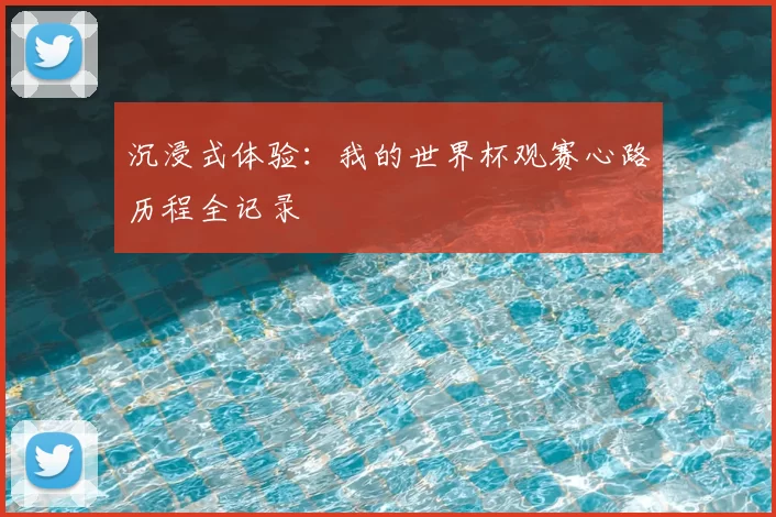 沉浸式体验：我的世界杯观赛心路历程全记录