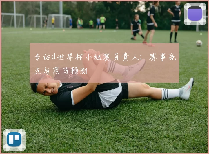 专访d世界杯小组赛负责人：赛事亮点与黑马预测