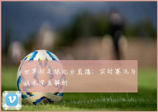 世界杯足球比分直播：实时赛况与战术深度解析