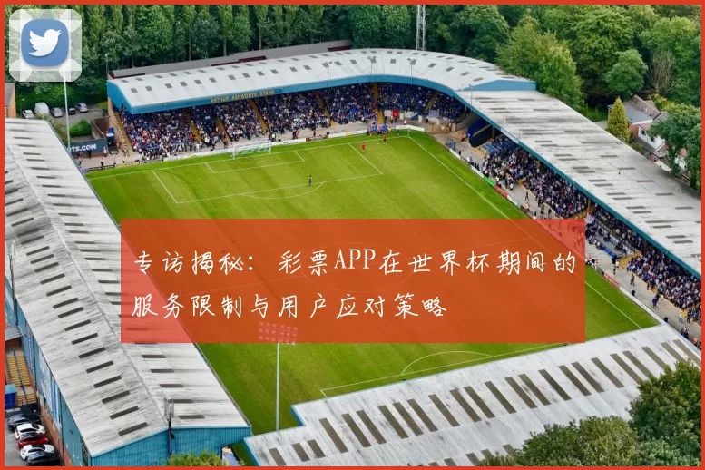 专访揭秘:彩票APP在世界杯期间的服务限制与用户应对策略