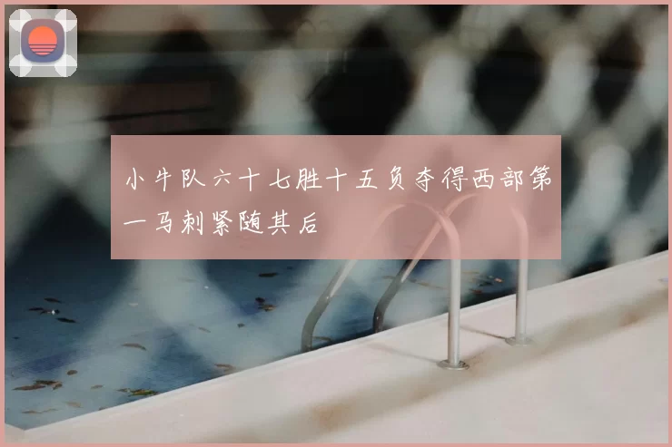 小牛队六十七胜十五负夺得西部第一马刺紧随其后