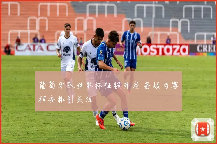 葡萄牙队世界杯征程开启 备战与赛程安排引关注