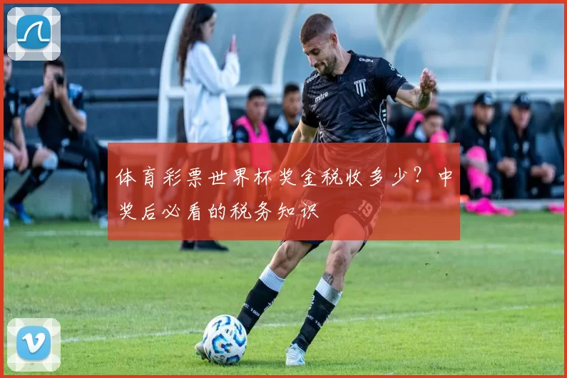 体育彩票世界杯奖金税收多少？中奖后必看的税务知识