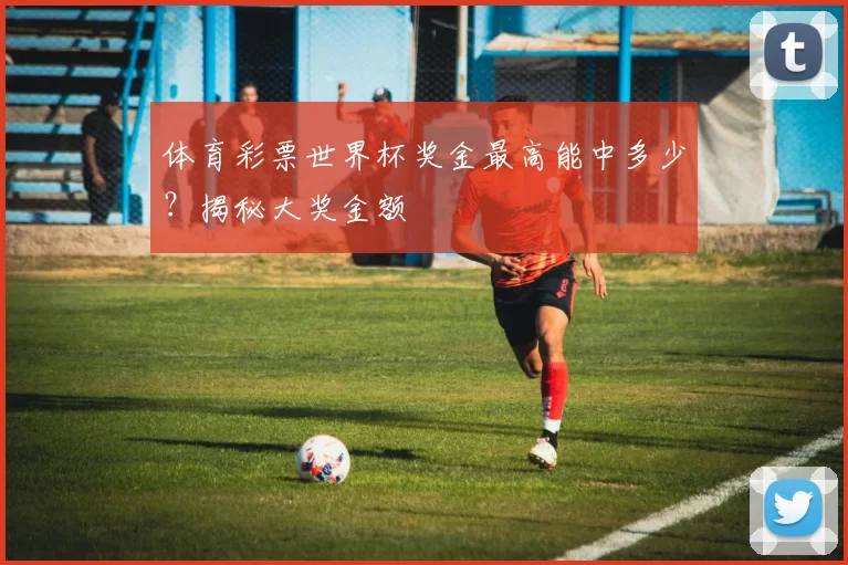 体育彩票世界杯奖金最高能中多少？揭秘大奖金额