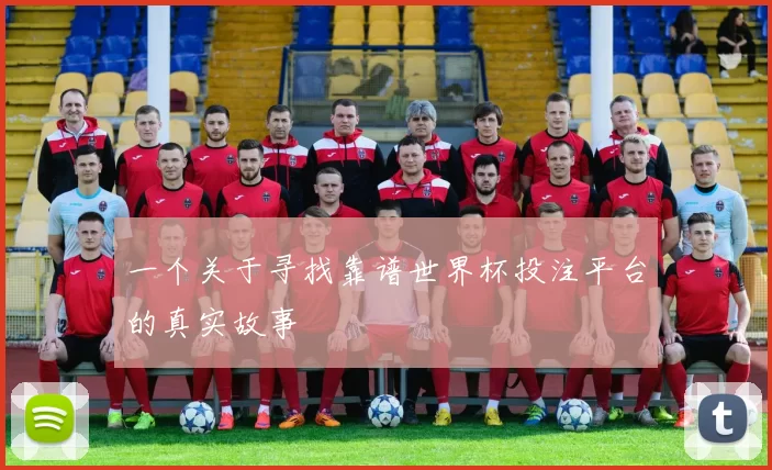 一个关于寻找靠谱世界杯投注平台的真实故事