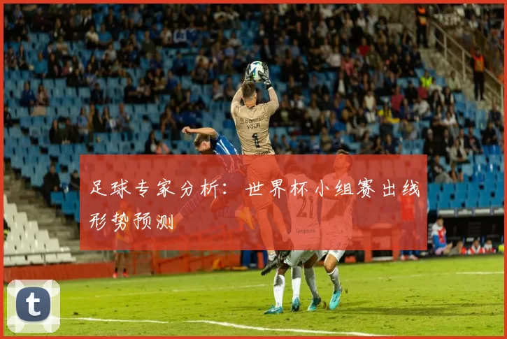 足球专家分析：世界杯小组赛出线形势预测