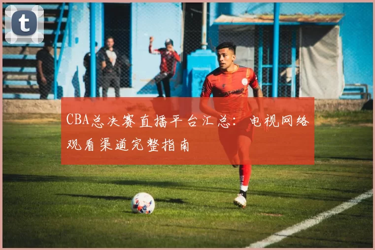 CBA总决赛直播平台汇总：电视网络观看渠道完整指南