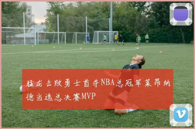 猛龙击败勇士首夺NBA总冠军莱昂纳德当选总决赛MVP